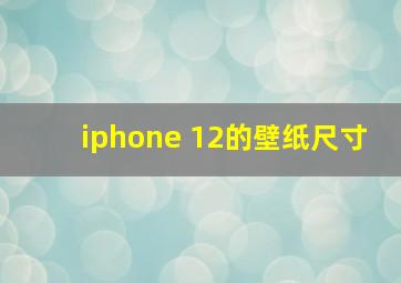 iphone 12的壁纸尺寸